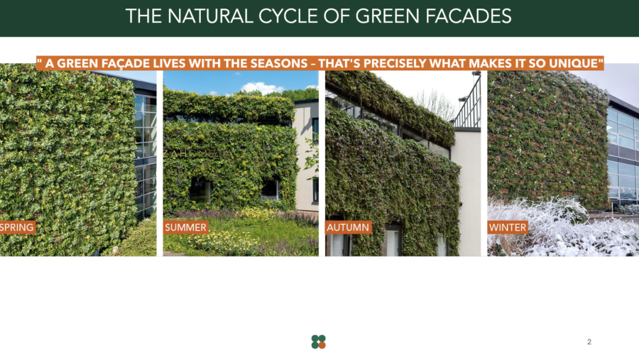 PPT: The natural cycle of green facades and their seasonal change