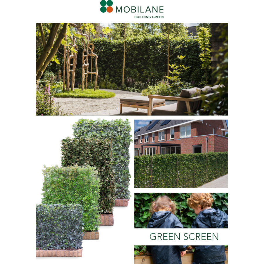 Green Screen - Factsheet
