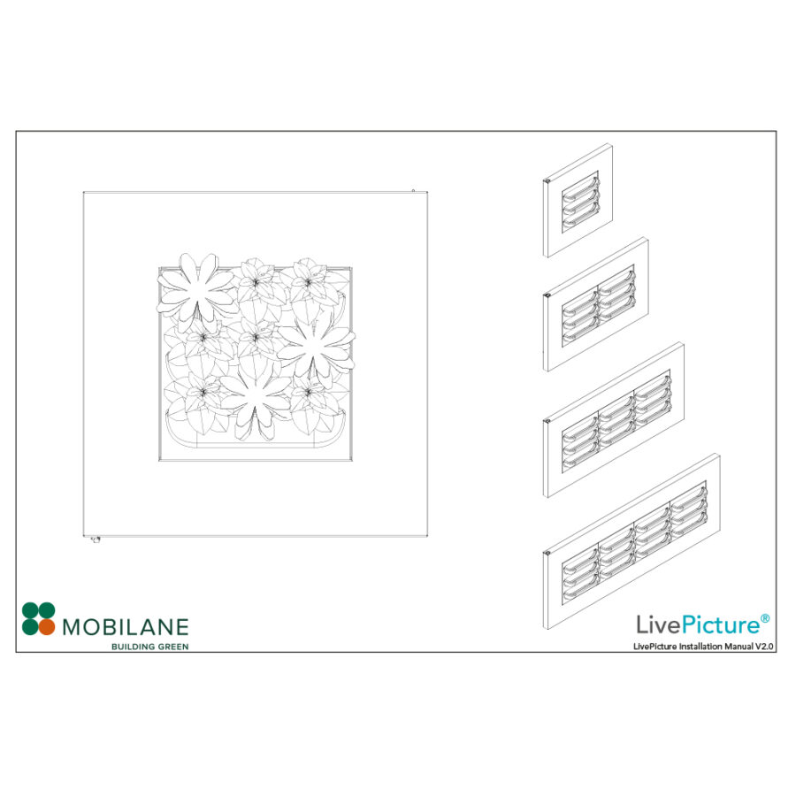 Installation Manual LivePicture