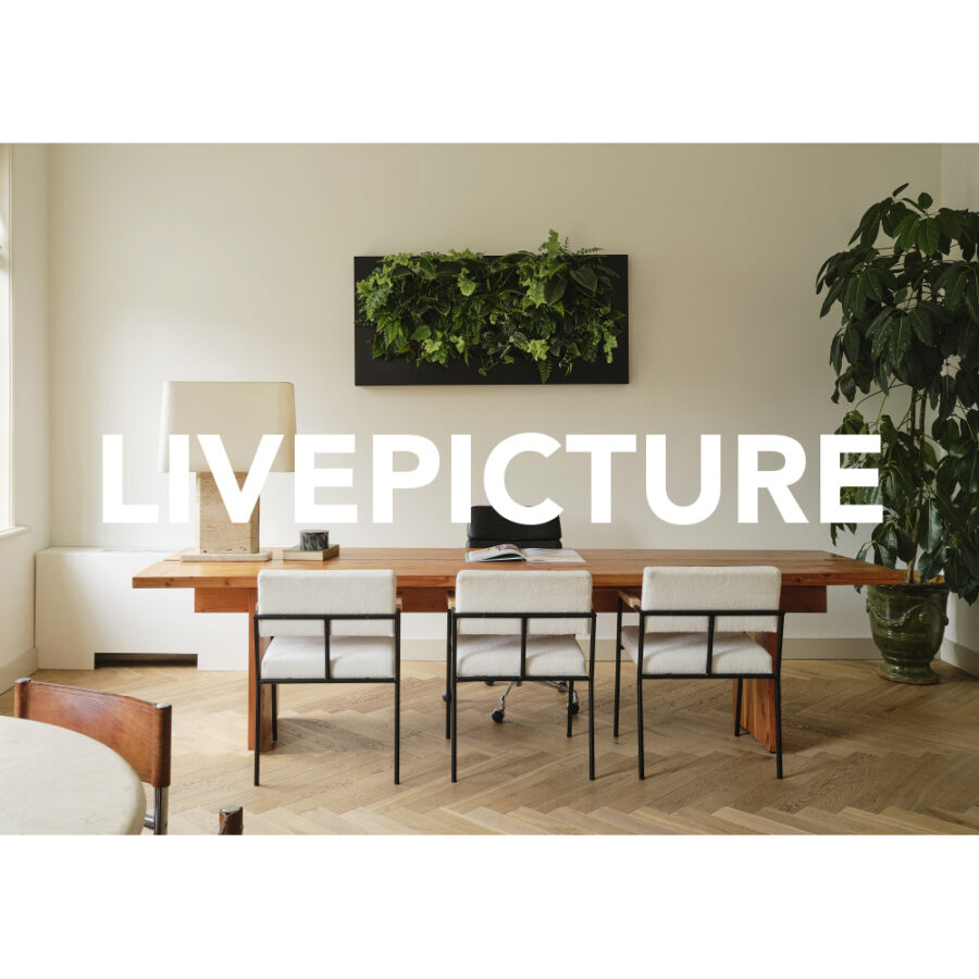 Architect folder - LivePicture