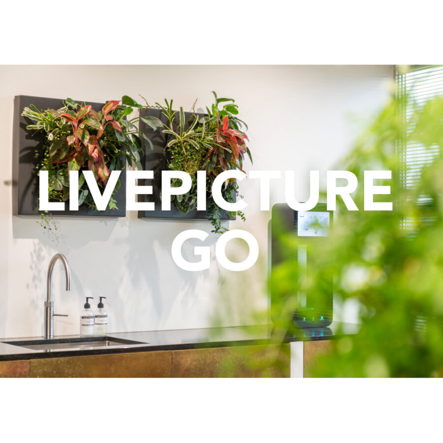 Architect folder - LivePicture GO