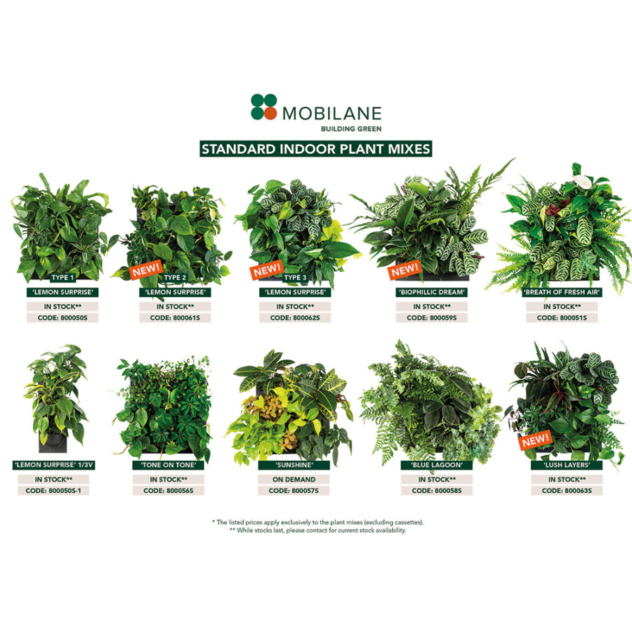 Standard Plant Mixes on stock